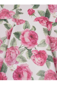 クリックで拡大